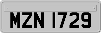 MZN1729