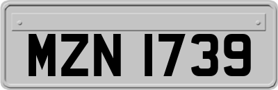 MZN1739