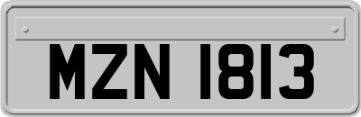 MZN1813