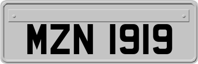 MZN1919