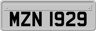 MZN1929