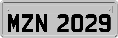 MZN2029