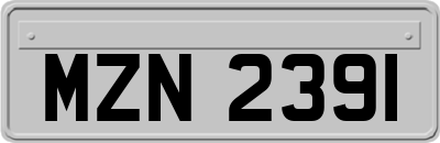 MZN2391