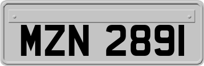 MZN2891