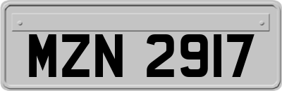 MZN2917