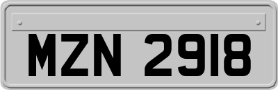 MZN2918