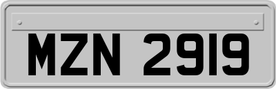 MZN2919