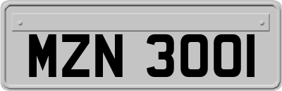 MZN3001