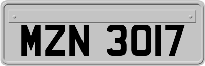 MZN3017