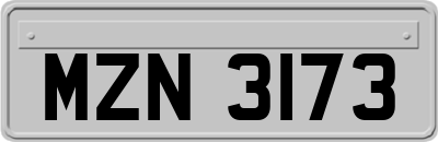 MZN3173