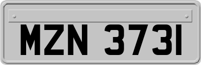 MZN3731