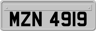 MZN4919