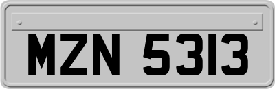 MZN5313