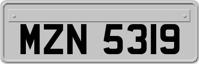 MZN5319