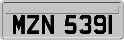 MZN5391