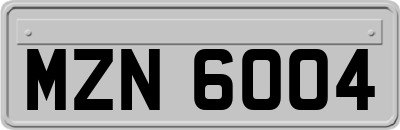 MZN6004