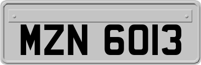 MZN6013