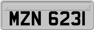 MZN6231