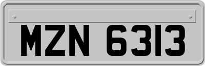 MZN6313