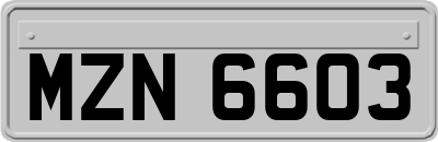 MZN6603