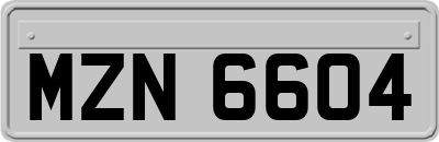 MZN6604