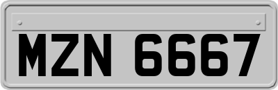 MZN6667