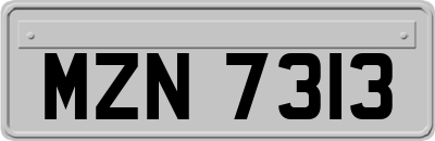 MZN7313