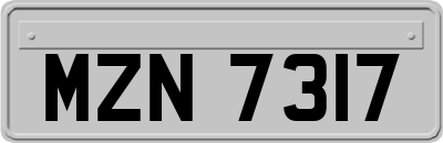 MZN7317