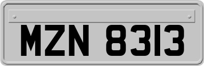 MZN8313