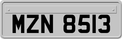 MZN8513