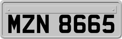 MZN8665