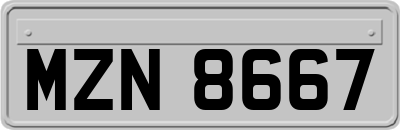 MZN8667