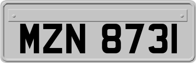 MZN8731