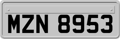 MZN8953