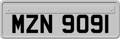 MZN9091