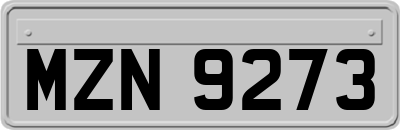 MZN9273