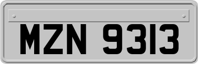 MZN9313