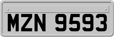 MZN9593