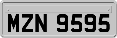 MZN9595