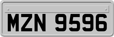 MZN9596