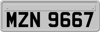 MZN9667