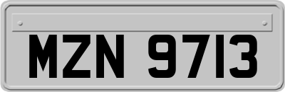 MZN9713