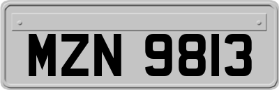 MZN9813