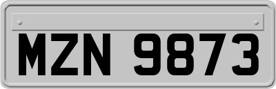 MZN9873