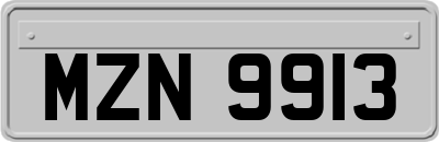 MZN9913