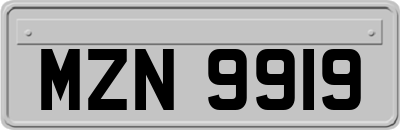 MZN9919