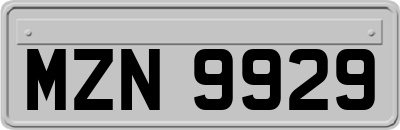 MZN9929