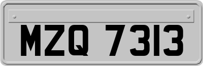 MZQ7313