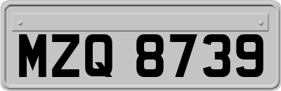 MZQ8739