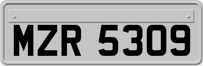 MZR5309